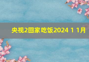 央视2回家吃饭2024 1 1月